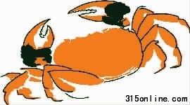 ðꖳκlзٽָ